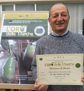 oro-delle-marche-podere2